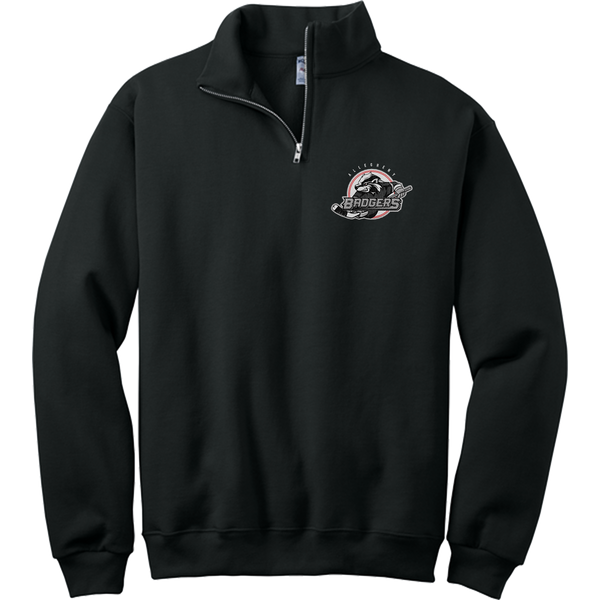 Allegheny Badgers NuBlend 1/4-Zip Cadet Collar Sweatshirt