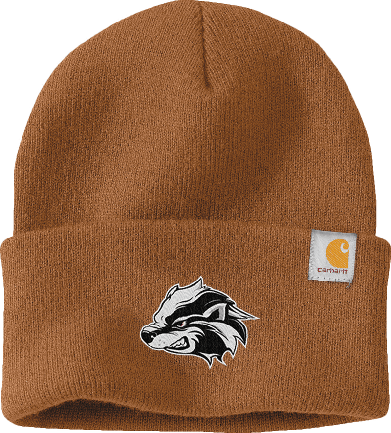Allegheny Badgers Carhartt Watch Cap 2.0