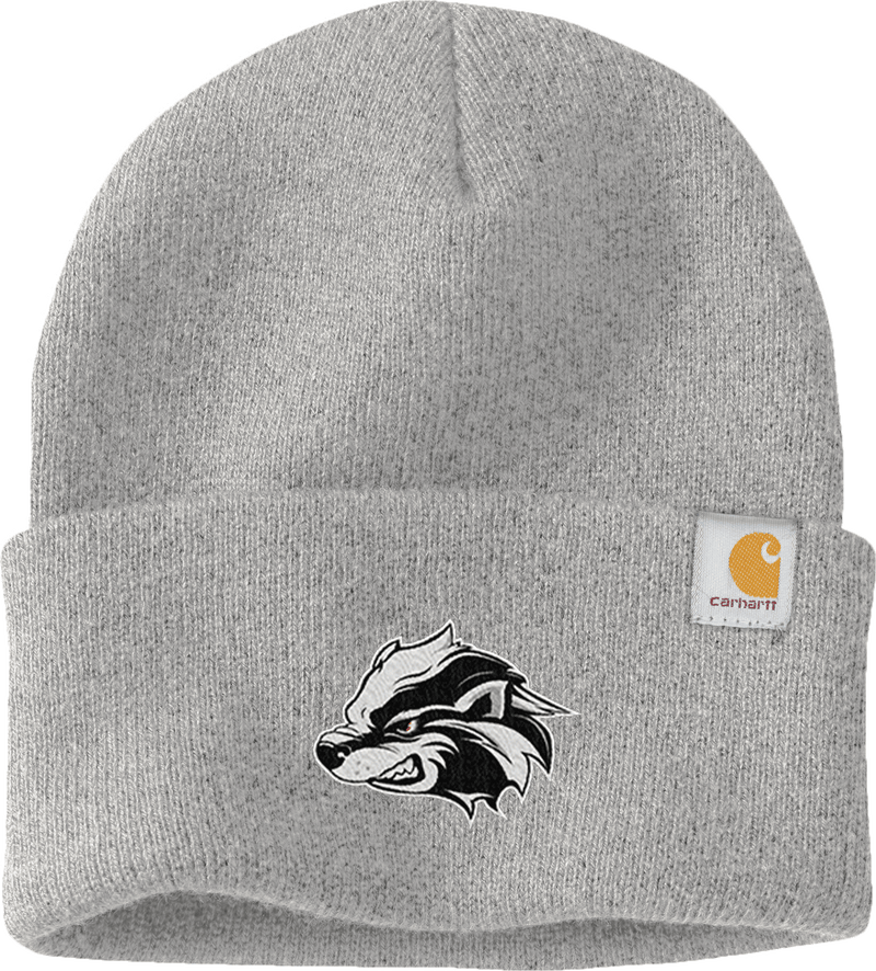 Allegheny Badgers Carhartt Watch Cap 2.0