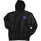 Carolina Thunder Super Heavyweight Fleece Hoodie