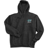 Boca Barracudas Super Heavyweight Fleece Hoodie