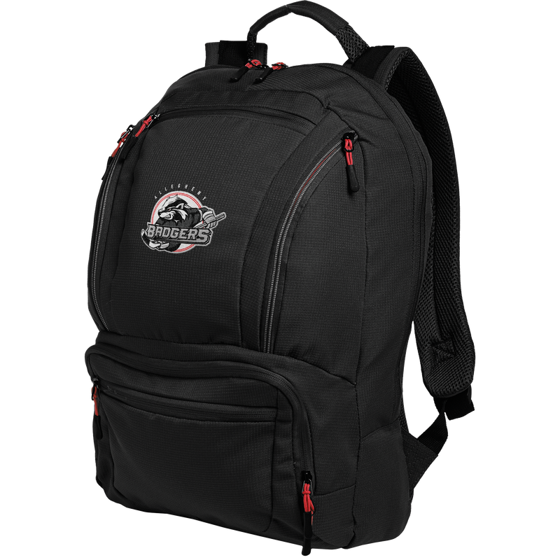 Allegheny Badgers Cyber Backpack