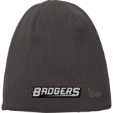 Allegheny Badgers New Era Knit Beanie