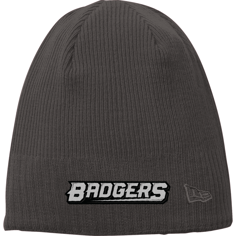 Allegheny Badgers New Era Knit Beanie