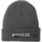 Allegheny Badgers New Era Speckled Beanie